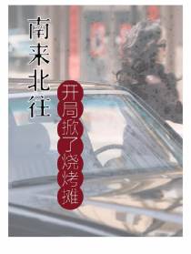 南来北往：开局掀了烧烤摊