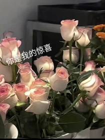 你是我的惊喜