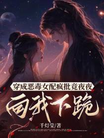穿成恶毒女配疯批竟夜夜向我下跪