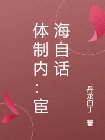 体制内：宦海自话