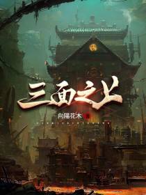 三面之上