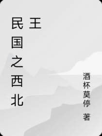 民国之西北王