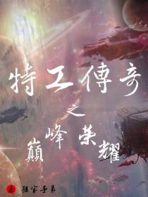 特工传奇之巅峰荣耀
