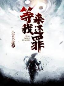 等我来还罪
