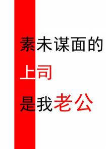 素未谋面的上司是我老公