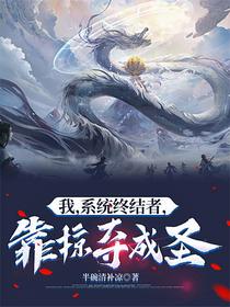 我，系统终结者，靠掠夺成圣！